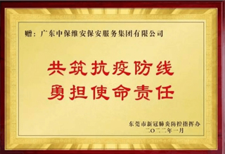 抗击疫情，守护家园，维安人在行动